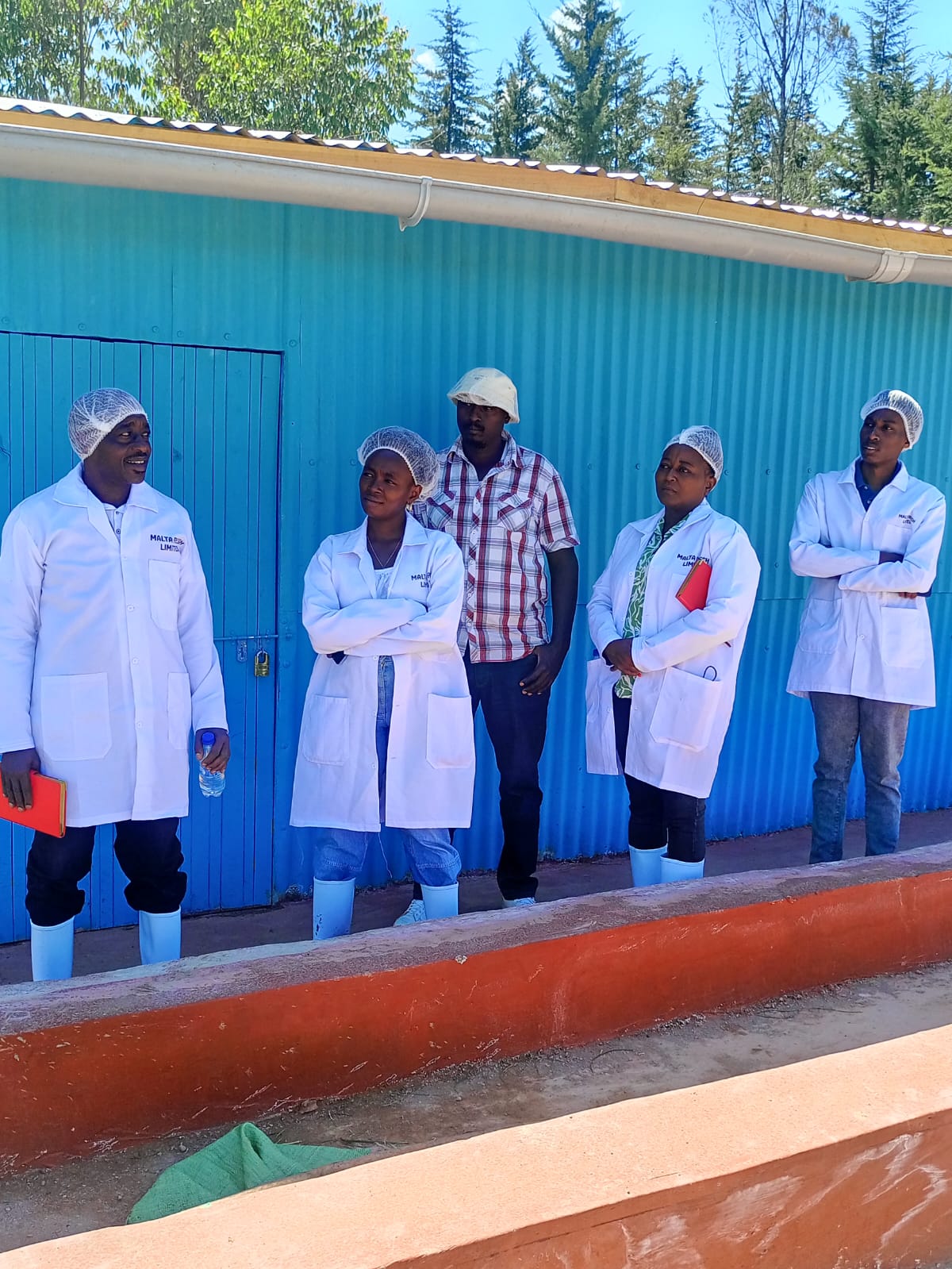 Harvest being prepared